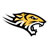 Towson Tigers